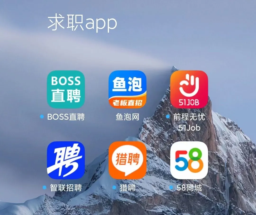 平湖最新找工作用什么平台最好方法分析(最方便真实的平湖找工作用什么平台最好2025年6月方法)